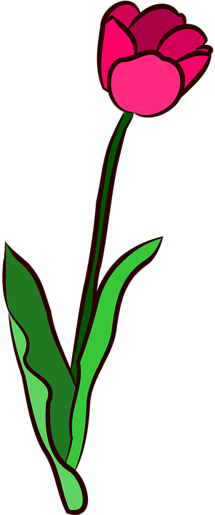 Yellow Tulip Cliparts 10, - Tulipan Rosa En Png (360x720)