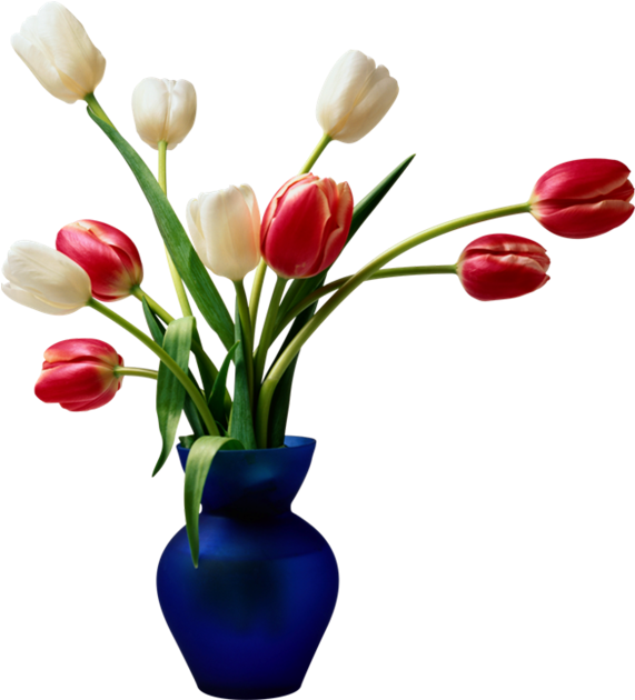 Wedding Dress Desktop Wallpaper Tulip Flower - Wedding Anniversary (580x635)