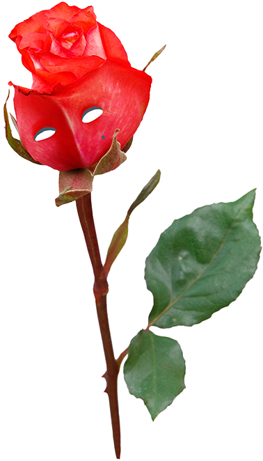 Уютный Цветочный Магазин Молодой Влюбленной Пары Из - Garden Roses (378x662)