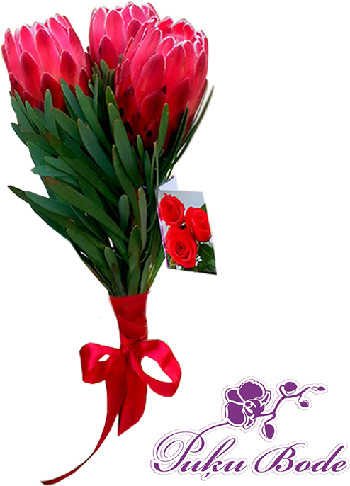 12 - Beauty (715x749)