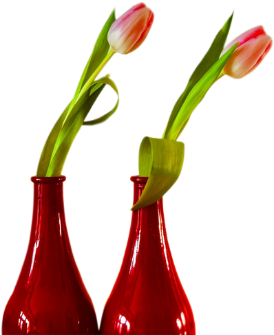 Tubes Fleurs Tiram 131 Tubes Fleurs Tiram 132 Tubes - Oyster (467x550)