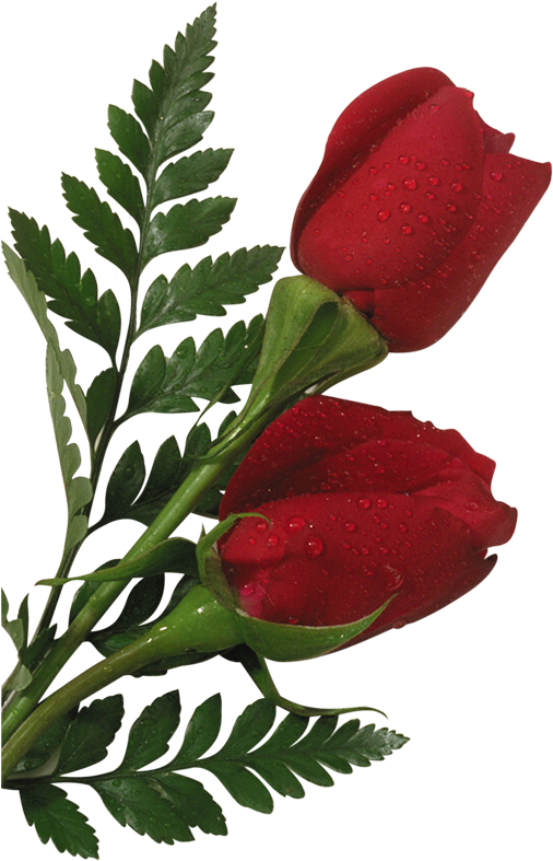 Postado Por Walter Silver Às - Felicitaciones Para El Dia Del Carmen (900x840)