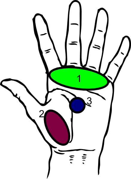 Clipart Info - Hand Coloring Page (438x598)