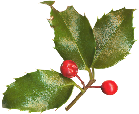 Houx Gui / - Graphical User Interface (500x470)