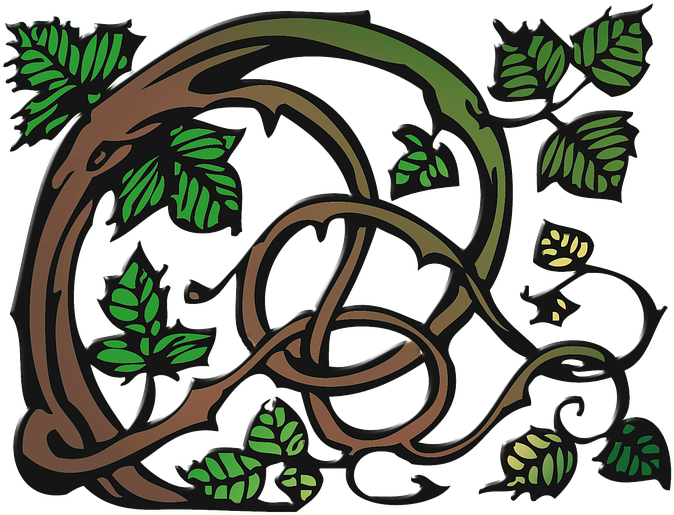 Ornamental Clipart Vine - Ornamental Clipart Vine (720x720)