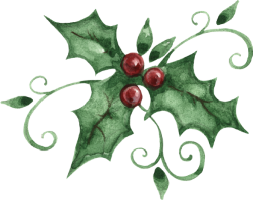 Houx,gui - Holly Graphic (500x396)