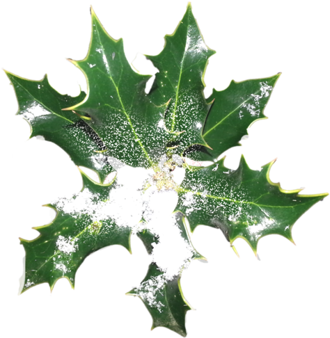 [ Img] - Drop (500x499)