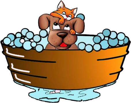 Source - - Dog And Cat Grooming (600x400)