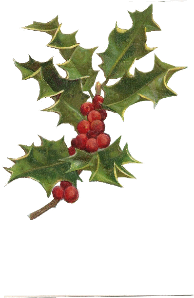 Holley Clipart Transparent Background - Vintage Holly Transparent Background (612x792)