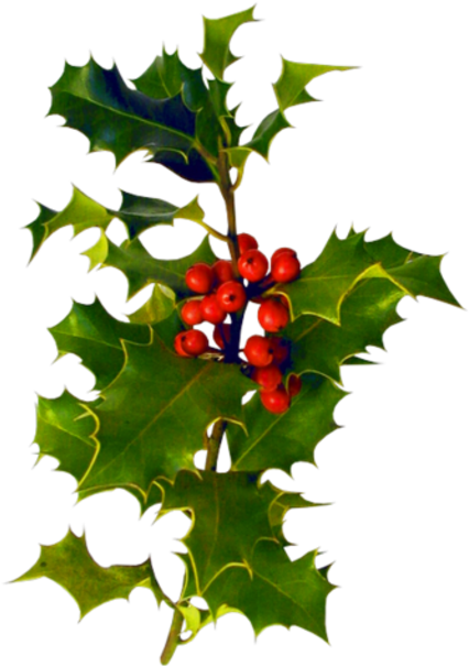 Houx Gui / - Hunting We Will Go (450x639)