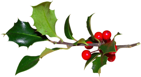 Houx Gui / - Graphical User Interface (500x287)