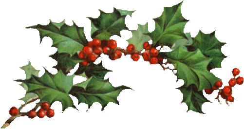 Houx,gui - Holly Clipart (500x283)