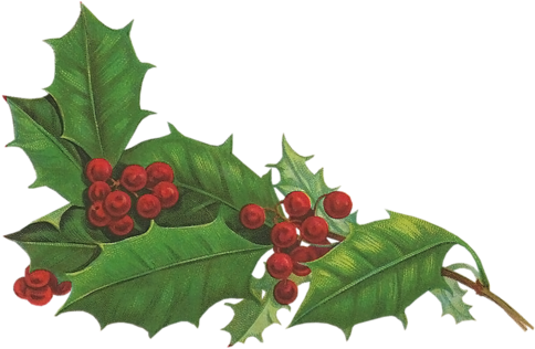 [ Img] - Graphical User Interface (500x328)