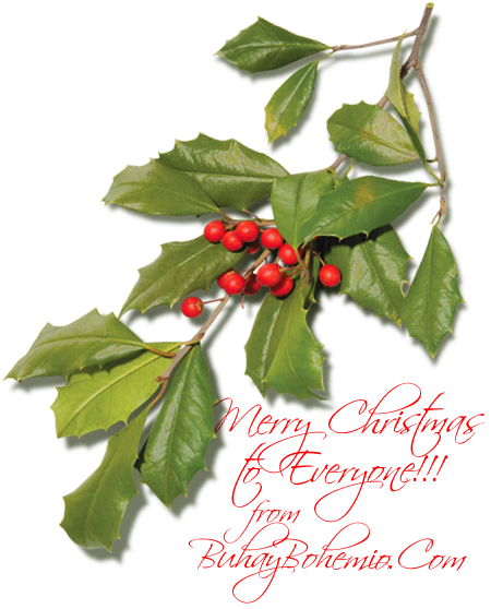 Sunday, December 25, - American Holly (450x558)