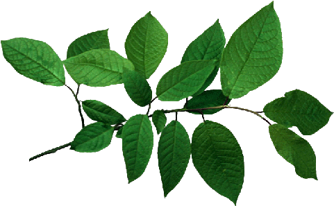 Изображение Для Плейкаста - Clip Art (500x298)