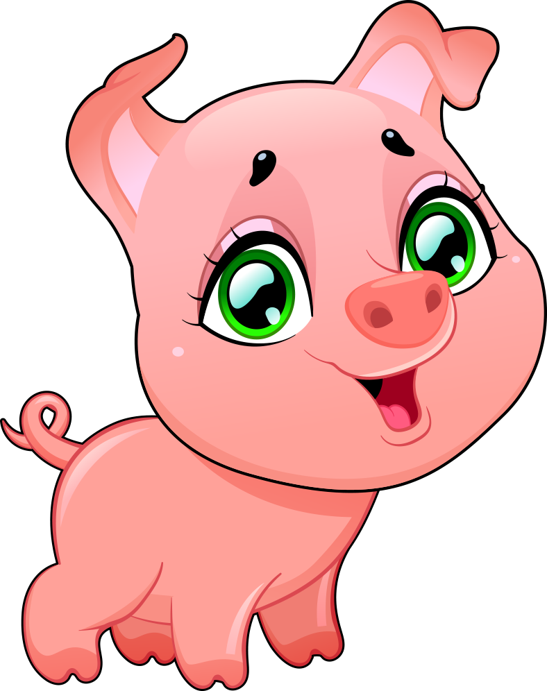 Pig cartoon