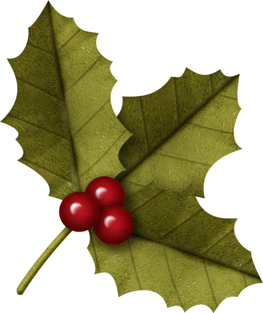 Houx Gui / - Leaves Christmas Clipart Png (860x1024)