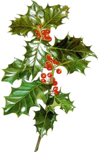 Deco Christmas And New Years - Christmas (366x523)