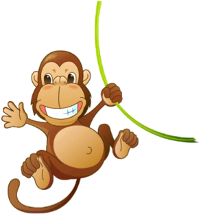 Tropical Rain Forest On Flowvella - Zoo Animals Clip Art (400x319)