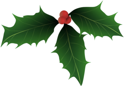 Christmas Cards - Christmas Holly Vector Art Free (480x340)