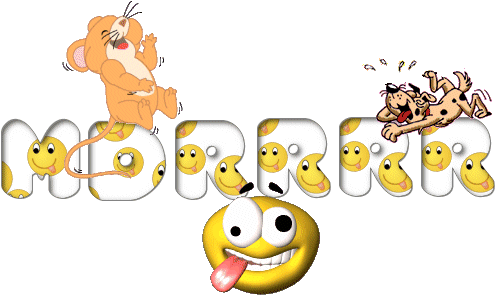 Gif-mdrrrr - Going Crazy - Nova Scotia - Download (546x338)