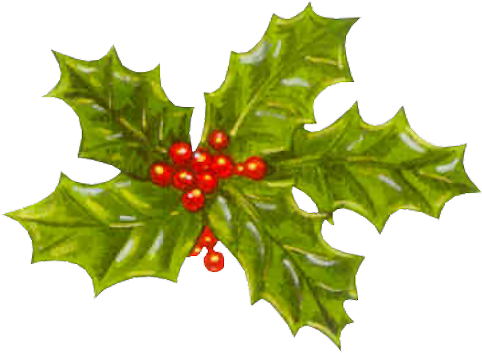 J'ai Le Plaisir De Fêter Cette Nouvelle Année 2018 - Branche De Gui Noel (494x364)