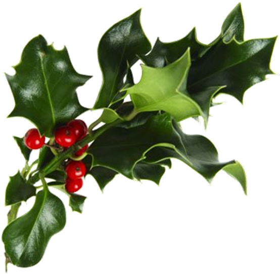 Kliknij Aby Zobaczyć - Thursday (629x629)