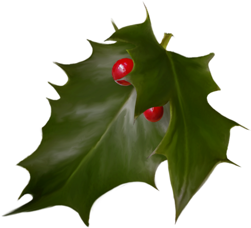 Houx Gui / - Graphical User Interface (500x473)