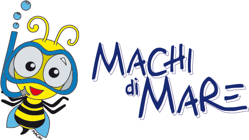 Sponsor Image - Sponsor (500x350)