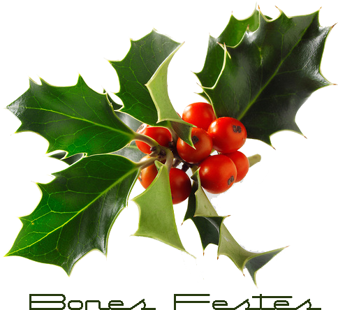 És Nadal Al Teu Cor, - Hollyleaf Cherry (591x476)