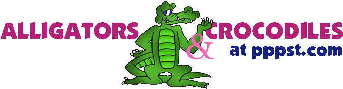 Alligators & Crocodiles Illustration - Alligators & Crocodiles Illustration (709x187)