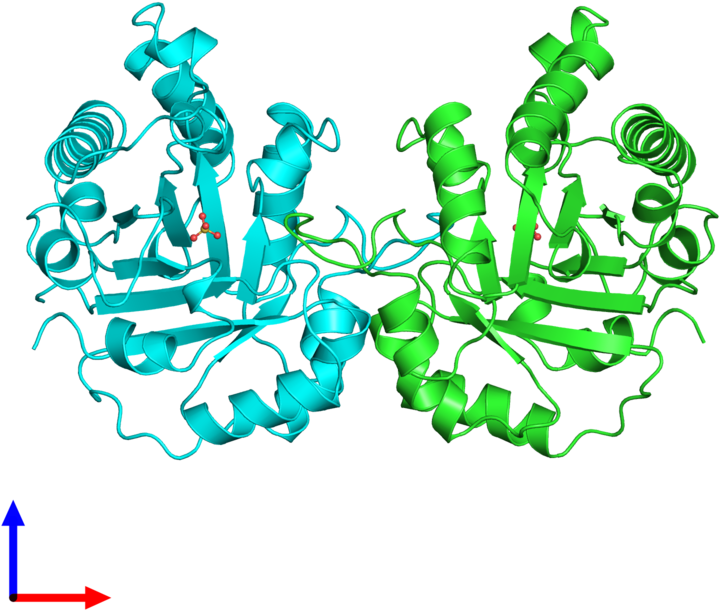 Organism Clip Art - Illustration (800x800)