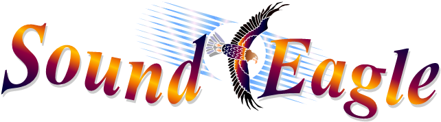 Now Playing Tracks - Graphic Design (641x196)