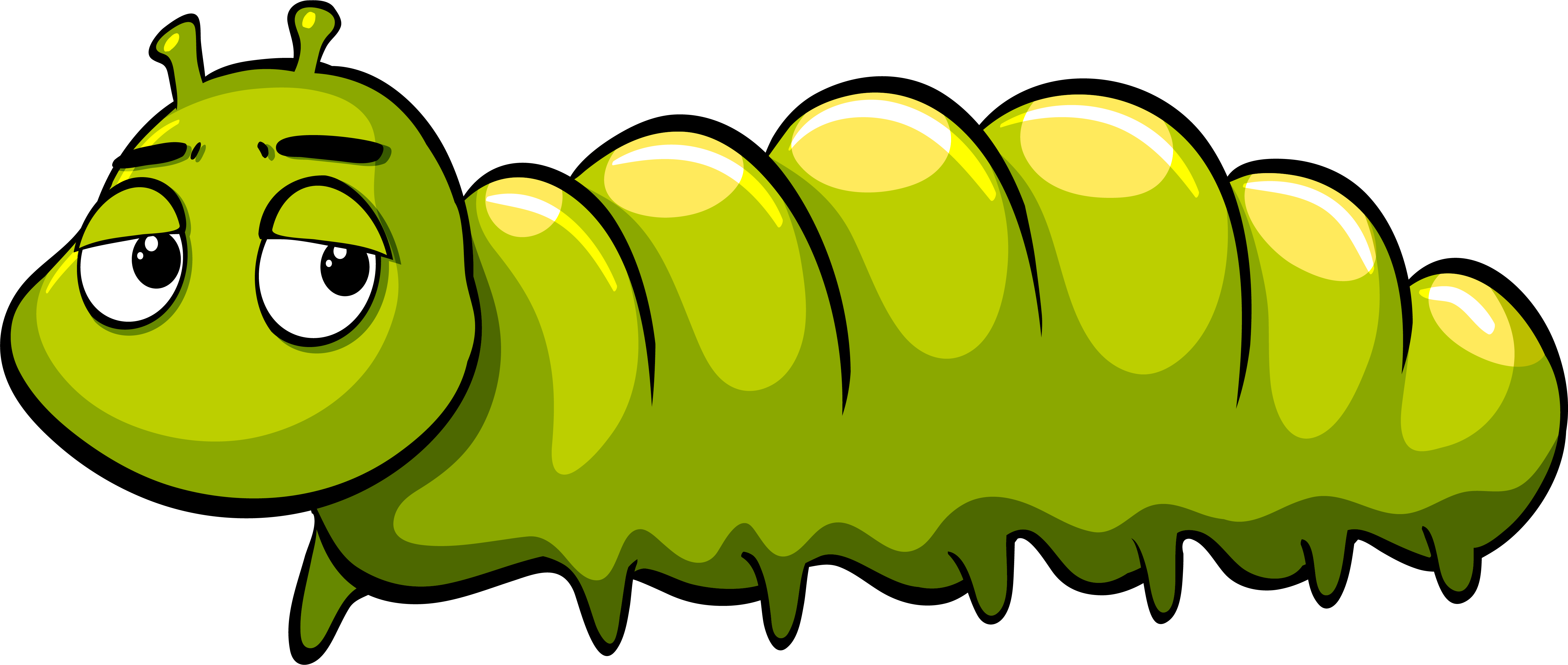 Royalty-free Caterpillar Illustration - Angry Caterpillar (5439x2309)
