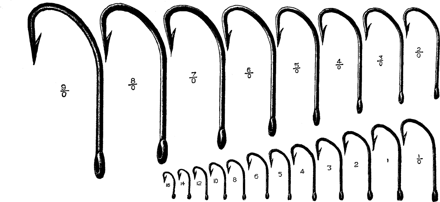 Fishing Hook Sizes - Fish Hook Size Scale (1600x844)