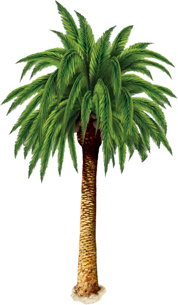 Palmier - Beistle Palm Tree Large Wall Cling (350x600)