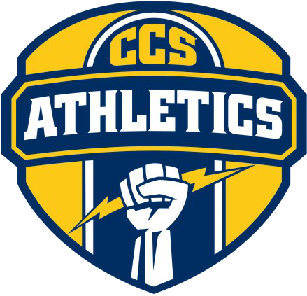 Community Christian School Offers Volleyball For Girls - Telefoon (455x434)