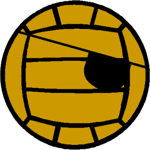 North Florida Pirates Volleyball - Pirate Volleyball (500x499)