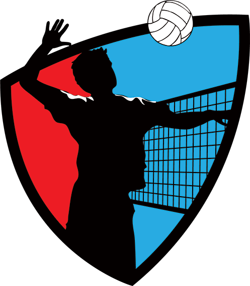 No Idea Sports - Volleyball Logo Png (497x567)