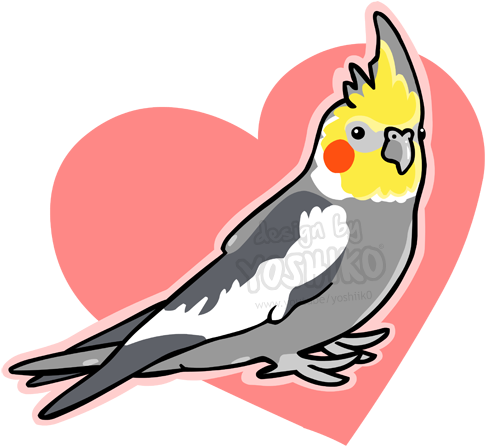 Cockatiel Sticker By Yoshik0-animation - Cartoon Cockatiel (500x461)