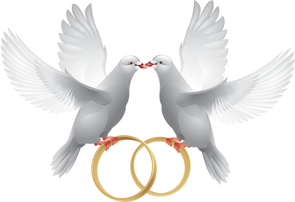 Pombinhas Com Alianças - Wedding Doves With Rings (1024x704)