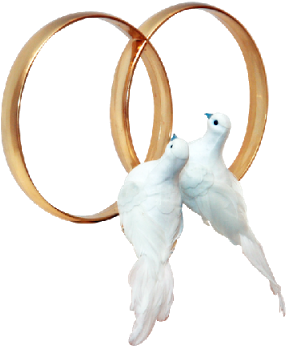 Turtle Dove Clipart Marriage Ring - White Dove With Ring Png (400x400)