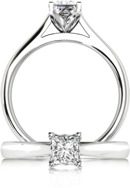 Protea Princess Ring - Protea Ring Browns Price (740x740)
