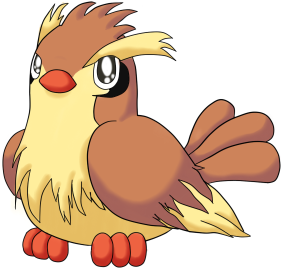 Sky The Pidgey By Kiwibeagle - Pokemon Taubsi (700x700)
