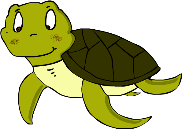 Ideas On Sea Life - Tortoise (1280x720)