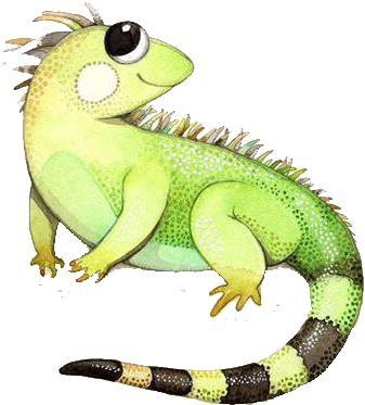 Green Iguana Lizard Drawing Illustration - Iguana Watercolour (602x601)