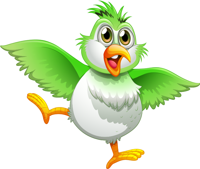 Bird True Parrot Drawing Illustration - Colours Of Different Parrots (1019x934)