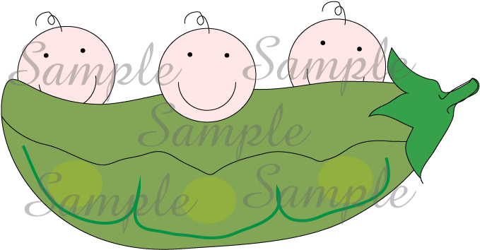 Pea Clipart Three - Illustration (800x800)