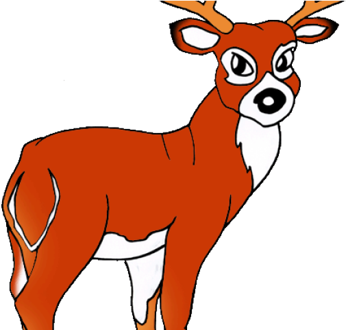 White Tailed Deer Clipart - Clip Art (640x480)