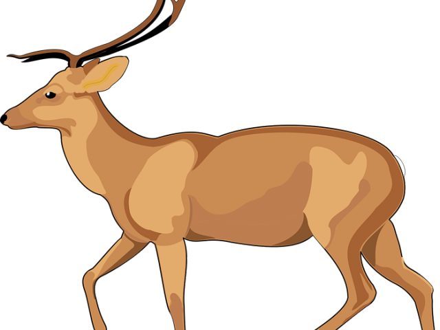 Dear Clipart Walking - Debden Park High School (640x480)
